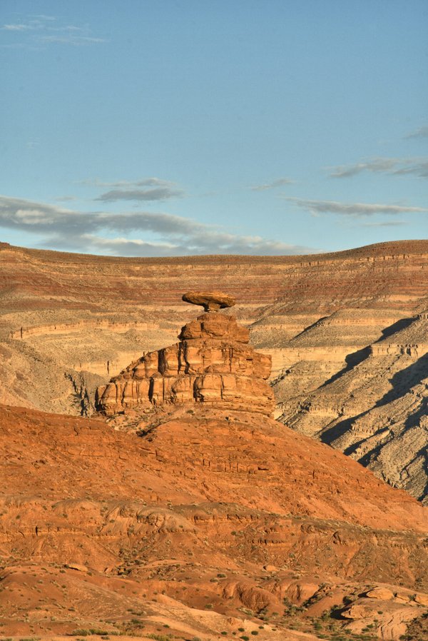 How to Train a Cat to Use a Microchip-Activated Pet Door?